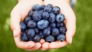 handful-of-blueberries-1502-498x286-300x172
