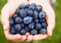 Love 9 Low Calorie Snacks