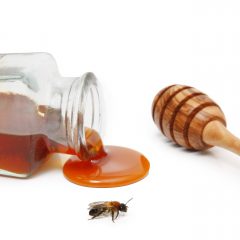 The Healing Power Of Honey