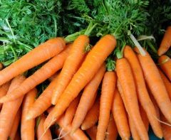 10 Health Benefits Of Carrots