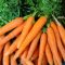 10 Health Benefits Of Carrots